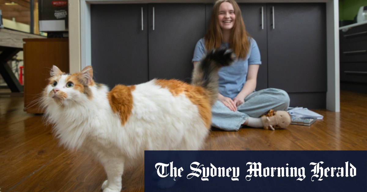 Les noms d'animaux les plus populaires d'Australie révélés : Luna