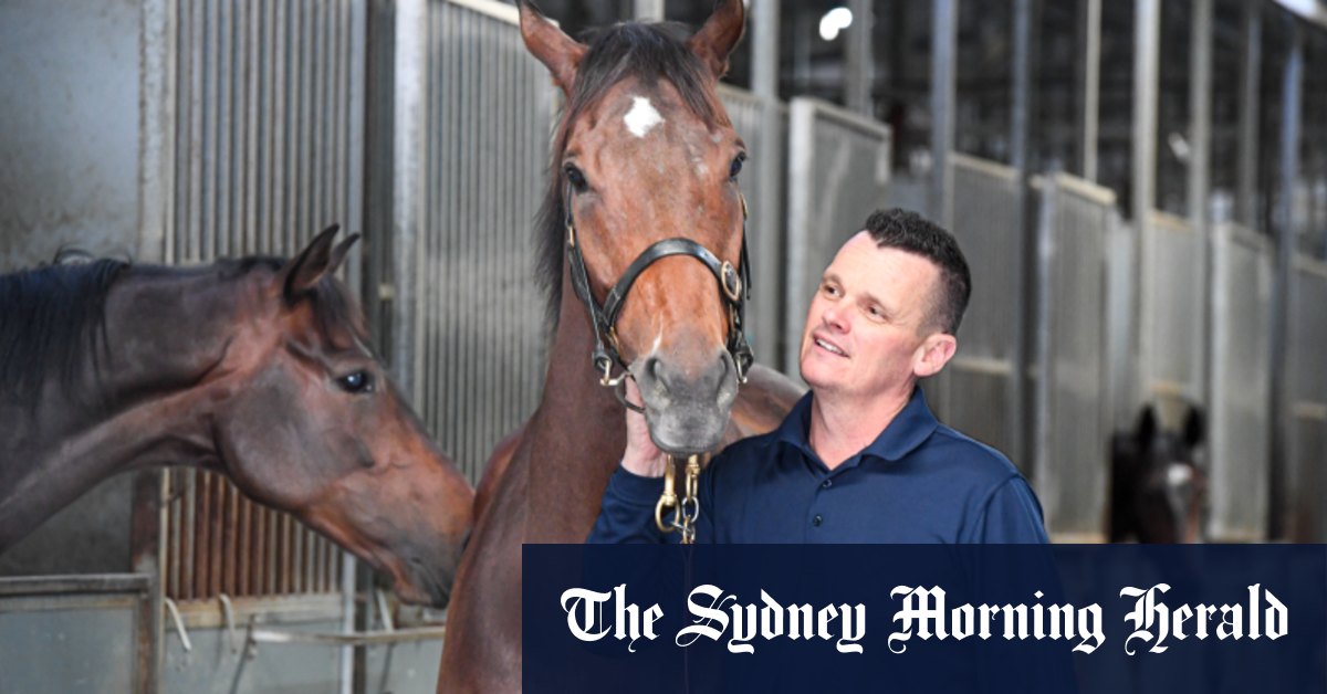 Cinq chevaux achetés par des sociétés de syndication publiques pour un montant total de 570 000 $ se sont écrasés sur l'Everest.  Le visage de la course est-il en train de changer ?