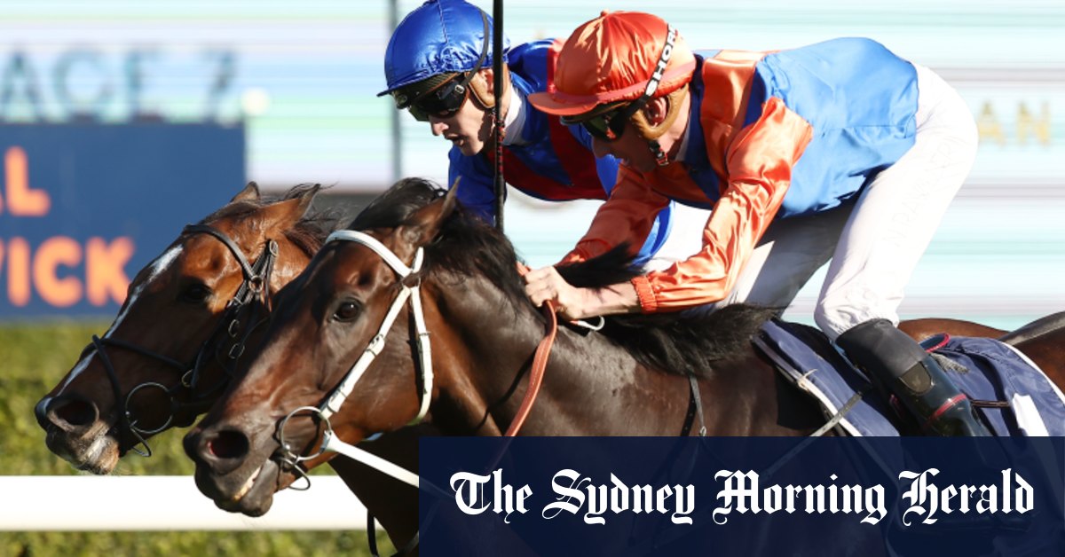 L'entraîneur de Think It Over, Kerry Parker, évite un procès peu flatteur lors de la canicule à Sydney