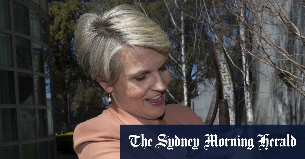 La Cour fédérale déclare que Tanya Plibersek n'a pas à prendre en compte le changement climatique lors de l'approbation des mines de charbon