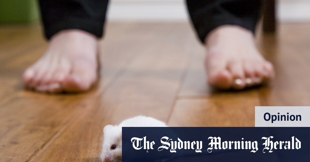 Kerri Sackville sur sa peur des souris