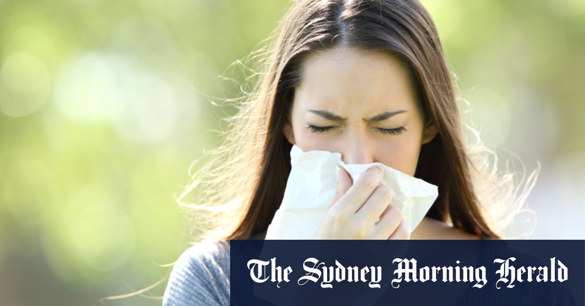 Comment le changement climatique pourrait aggraver le rhume des foins