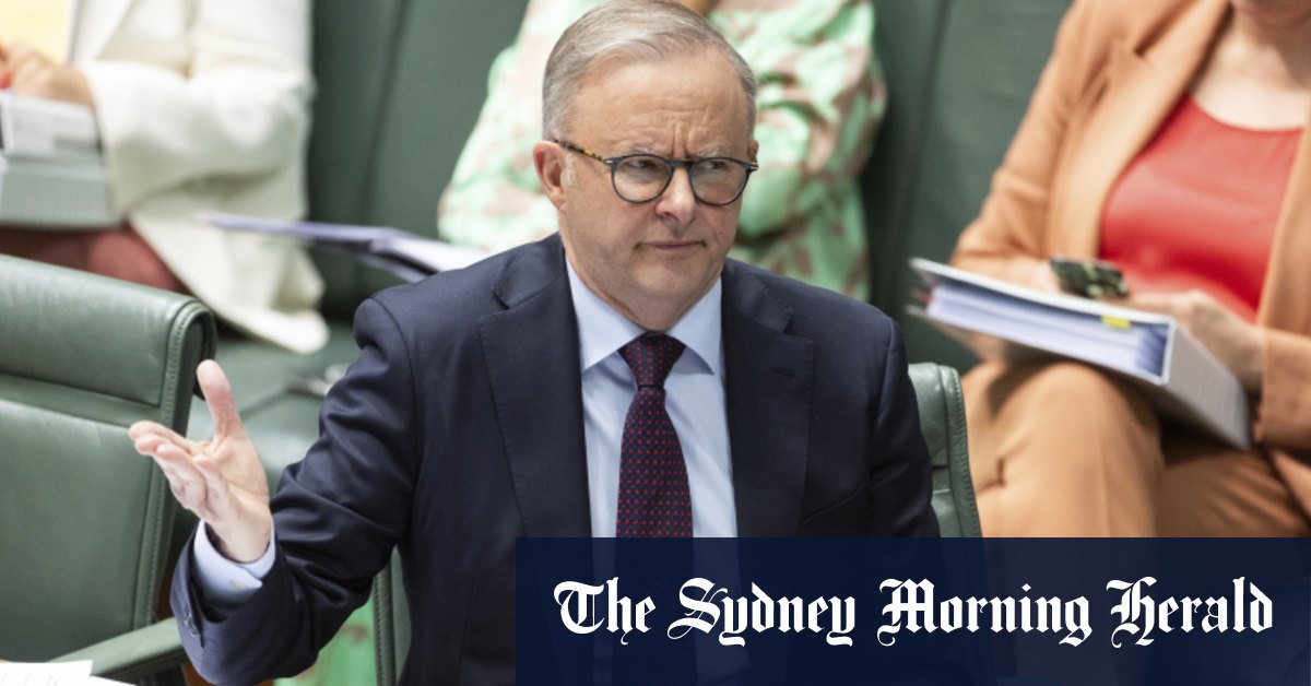 Anthony Albanese dit n'avoir jamais reçu de demande de report du vote