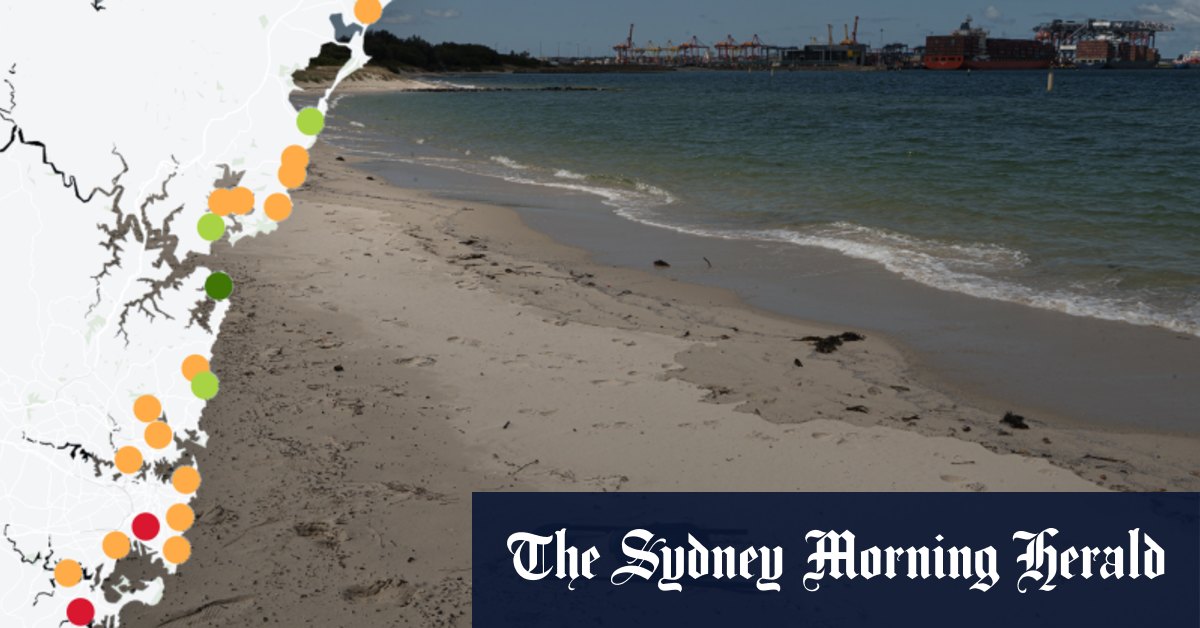 Le rapport sur l'état des plages révèle le pire de Nouvelle-Galles du Sud