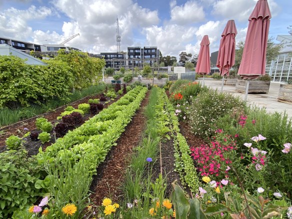 Acre Urban Farm dans un centre commercial de la banlieue est de Melbourne