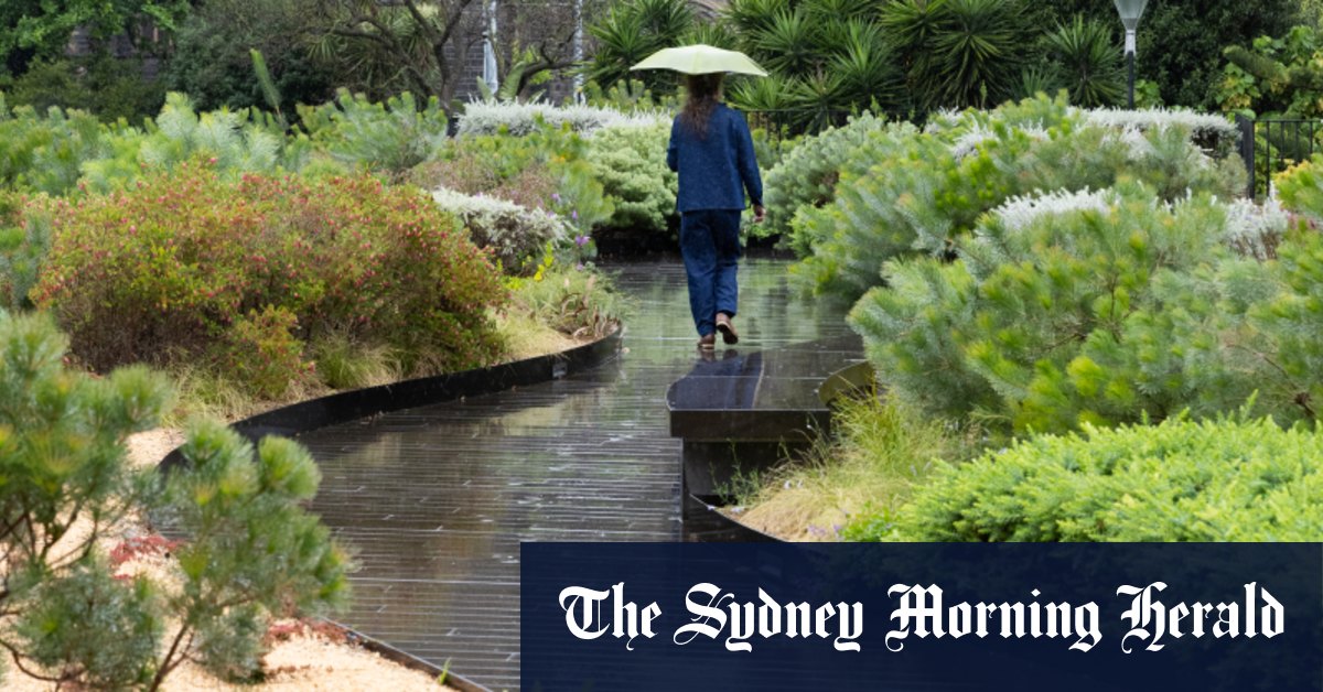 Les jardins sur les toits peuvent être magiques.  Mais ils doivent être soigneusement planifiés