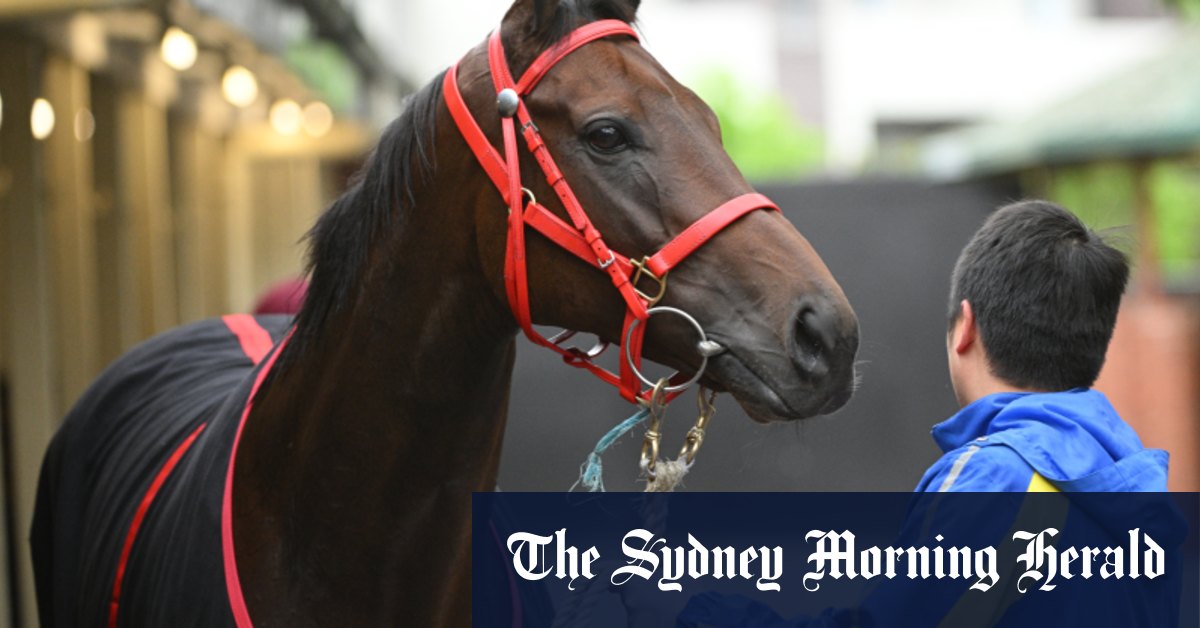 L’entraîneur Danny Shum mécontent des installations de Werribee pour Romantic Warrior