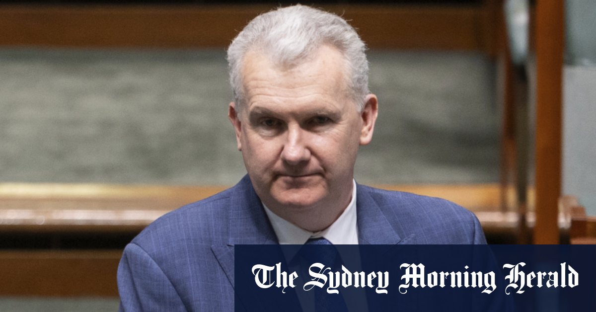Tony Burke soutient le drapeau palestinien