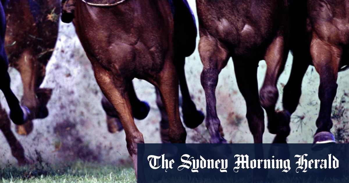 Les bookmakers victoriens veulent des réponses sur l'argent prétendument manquant