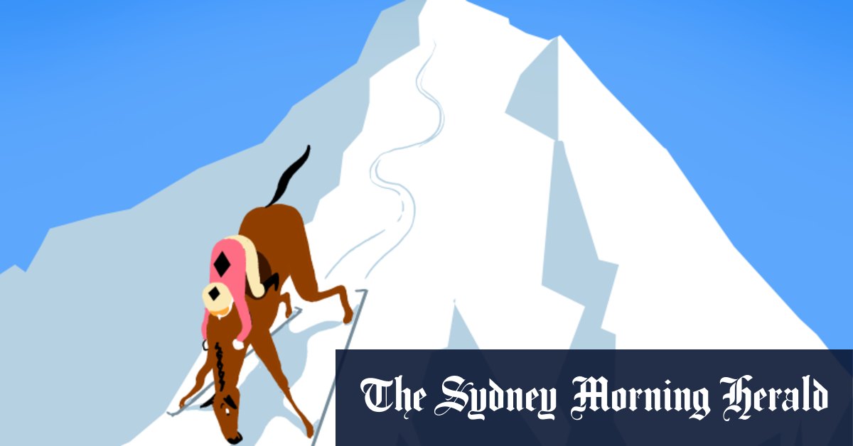 Best of dessins animés, 14 octobre 2023