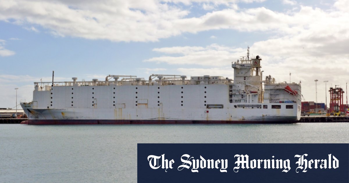 L'affaire de la mort d'un mouton contre un exportateur vivant sera abandonnée à la veille du procès