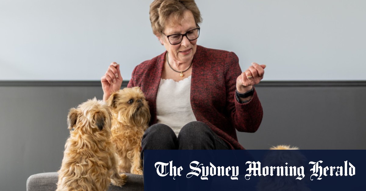 Comment le mouvement parental doux a changé la façon dont nous dressons les chiens