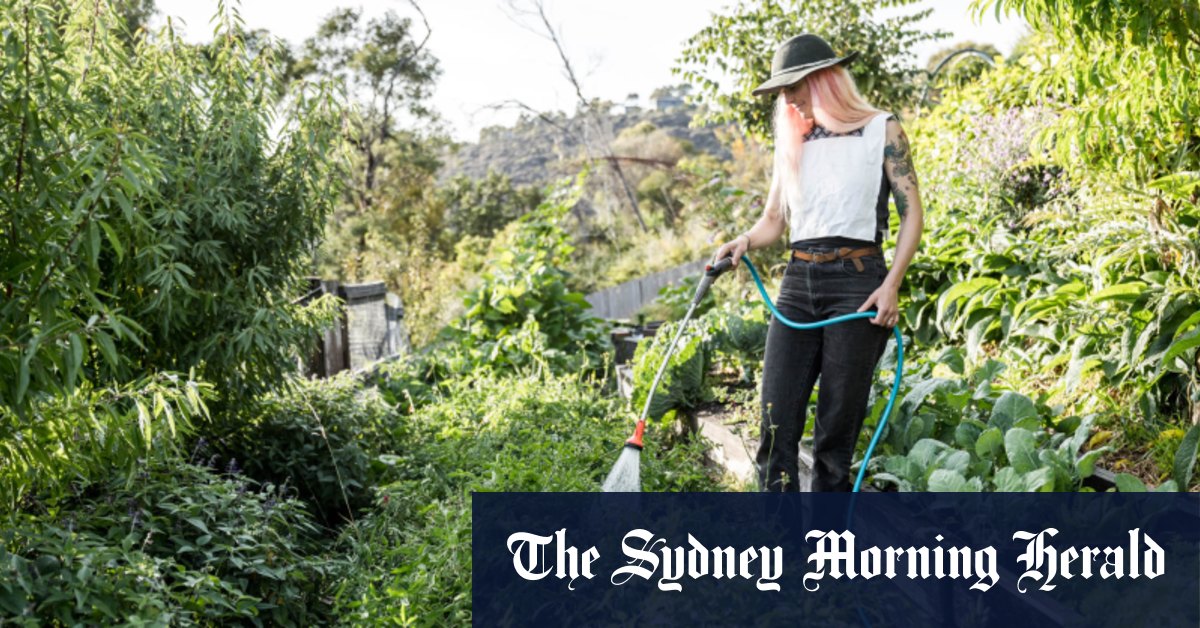 Comment vous assurer que vous arrosez correctement votre jardin