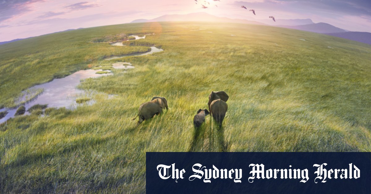 Un milliard de personnes ont vu les parties I et II, maintenant Sir David est de retour pour la partie III.