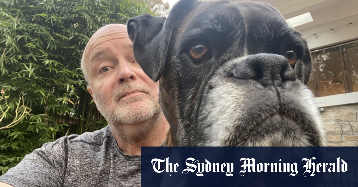 Ma chienne Rosie est morte et il y a un trou en forme de boxer baveux dans nos cœurs