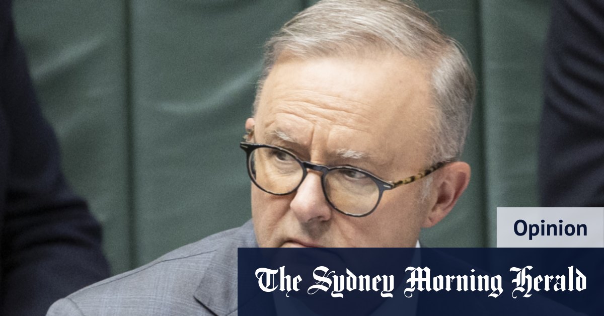 Un sondage montre que la lune de miel est terminée pour Albanese et les travaillistes alors qu'ils se préparent à leur deuxième mandat