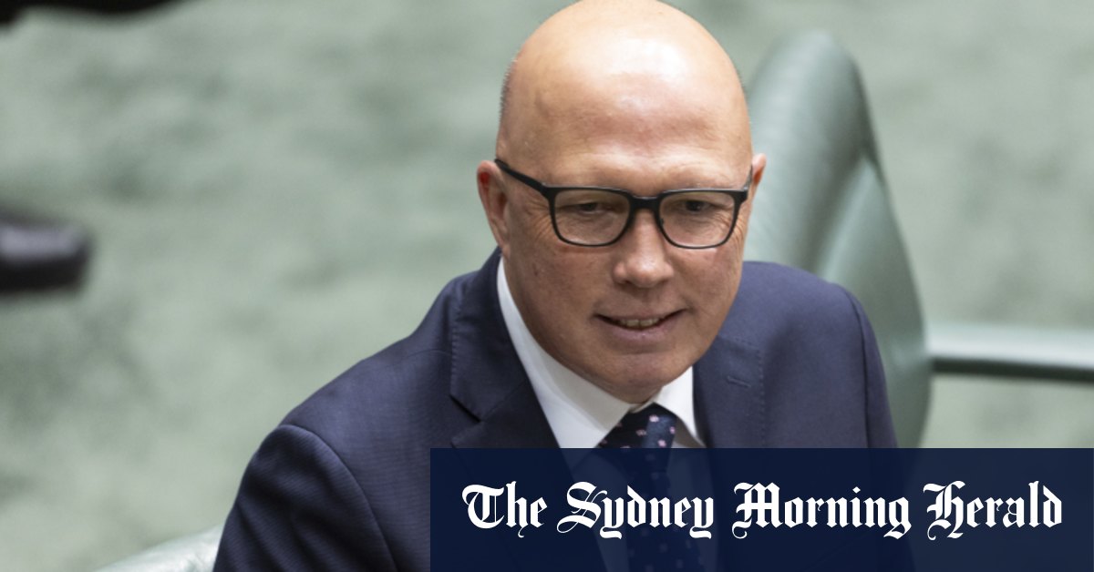 Peter Dutton s'engage à vérifier l'âge pour protéger les enfants de la pornographie alors que le parti travailliste refuse de s'engager