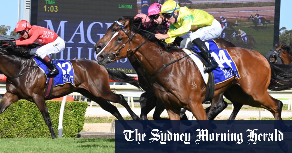 Wyong courses mercredi, conseils et aperçu complet