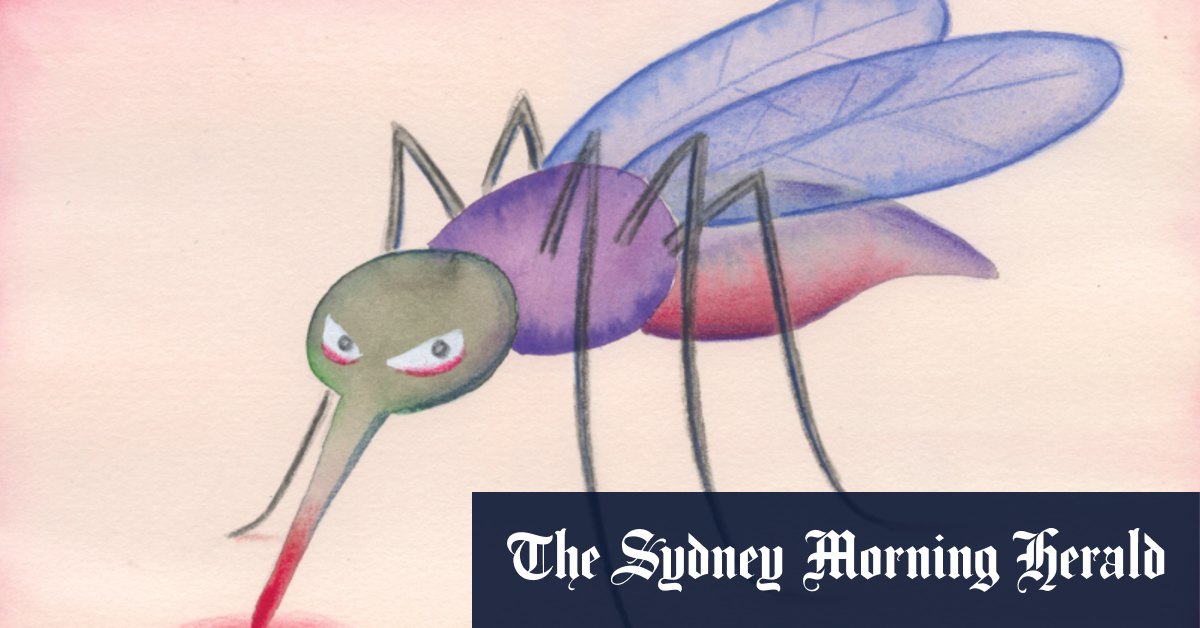 Best of dessins animés, 25 novembre 2023