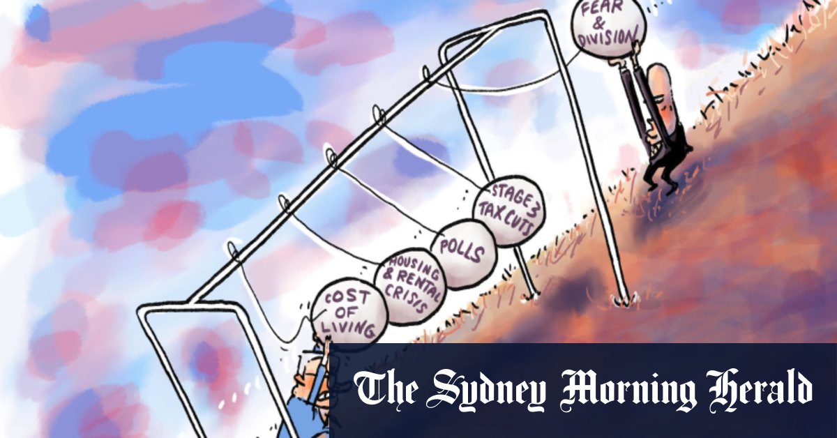 Best of dessins animés, 29 novembre 2023