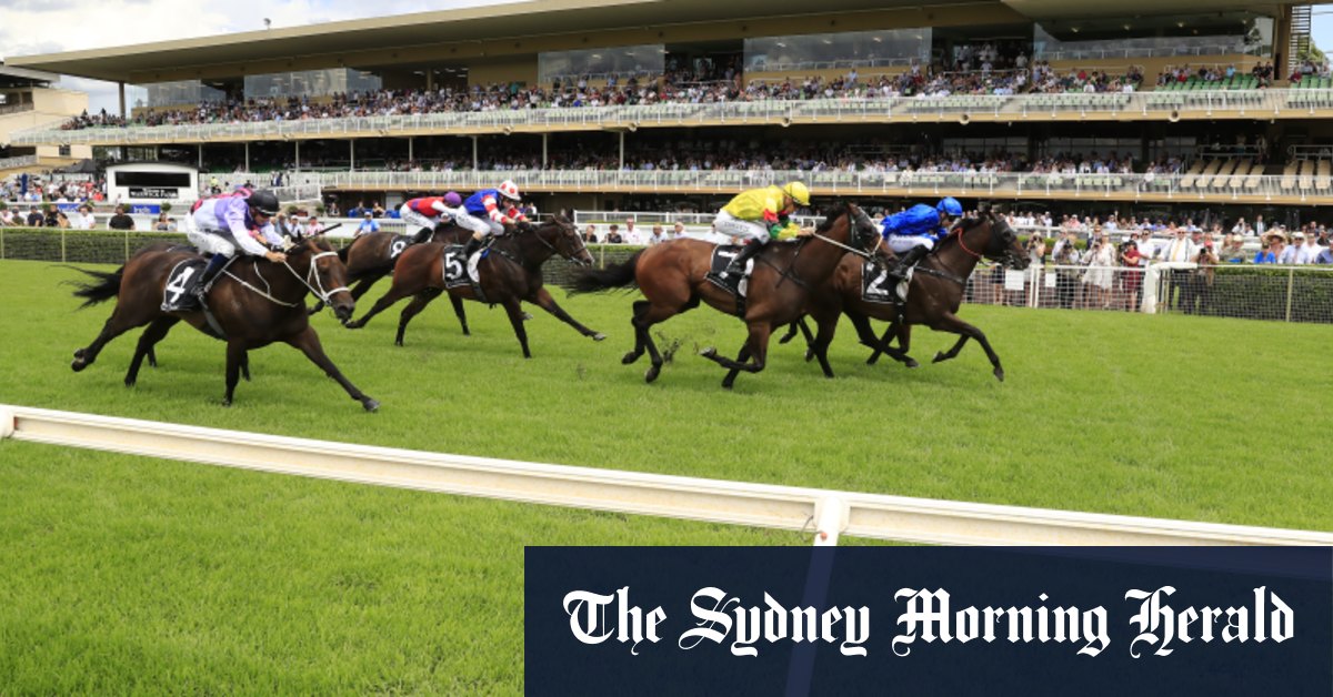 Warwick Farm courses conseils du mercredi et aperçu complet