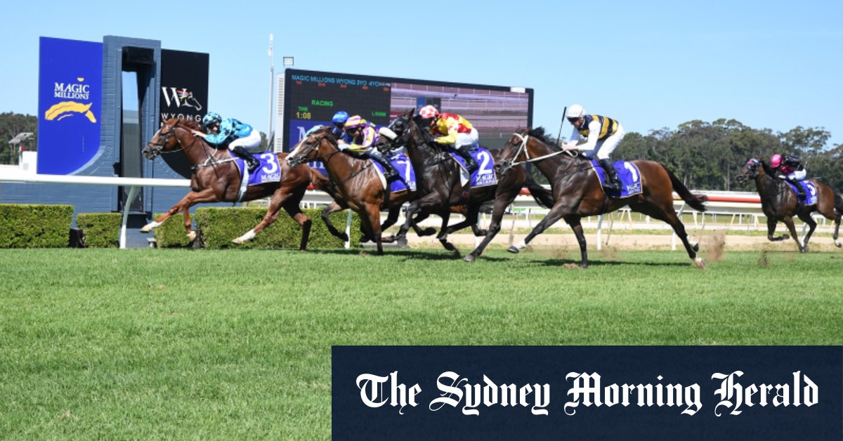 Wyong courses mercredi, conseils et aperçu complet