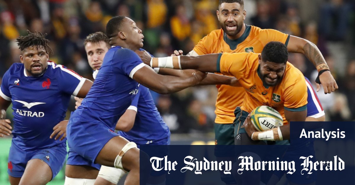 Pourquoi le travail d'entraîneur des Wallabies est l'un des meilleurs du rugby mondial