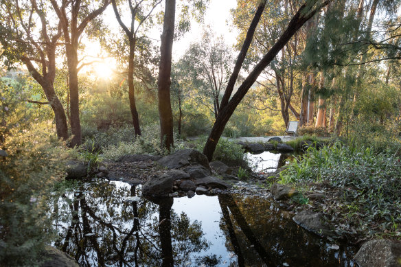L'ouverture récente du jardin de Sam Cox a montré comment donner à un espace l'impression qu'il fait naturellement partie du paysage plus large. 