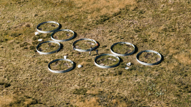 Dans le cadre du programme Saving our Species du zoo et du gouvernement de Nouvelle-Galles du Sud, des enclos ronds semi-fermés dans le parc national de Kosciuszko protègent les grenouilles corroboree du sud des prédateurs.