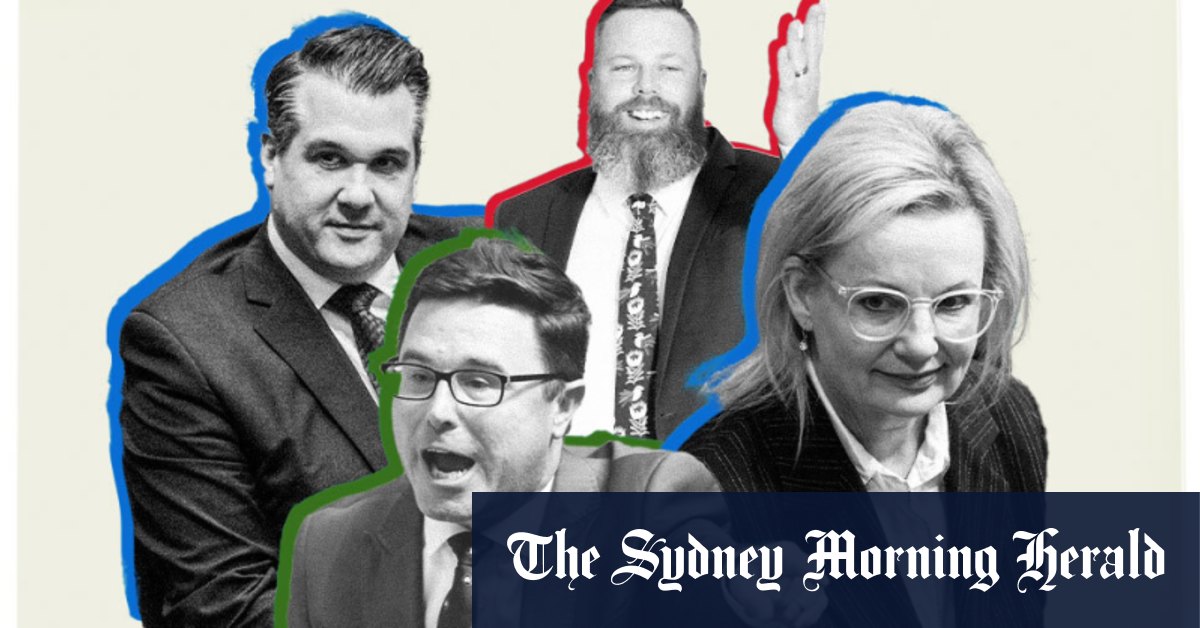 Des députés fédéraux expulsés 118 fois de l’heure des questions depuis l’élection d’Anthony Albanese