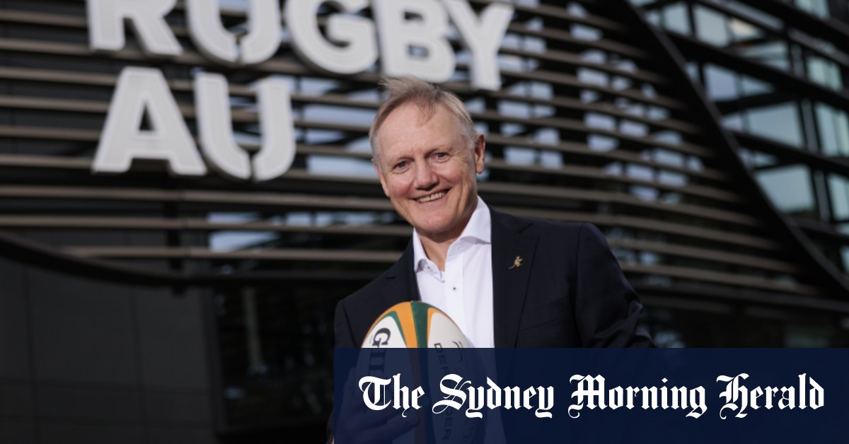 Joe Schmidt nommé nouvel entraîneur des Wallabies