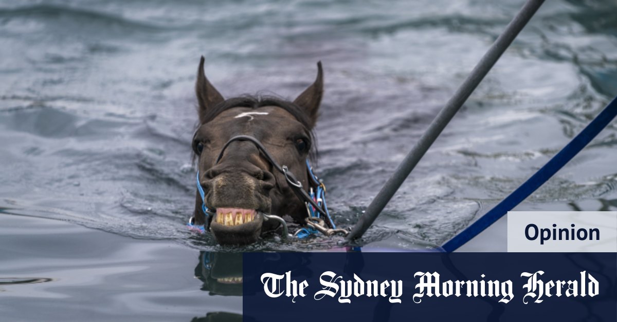 Il avait l'étoffe d'un champion de la Melbourne Cup, et j'ai dû l'éponger