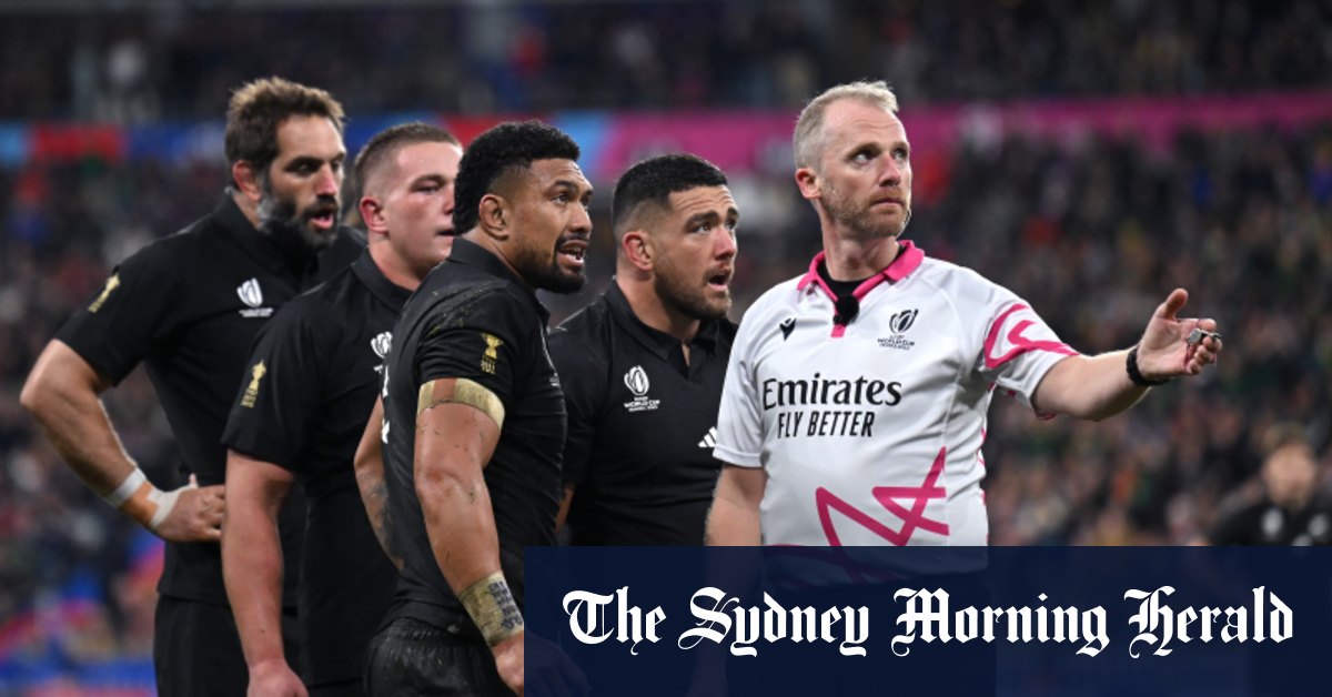 Un troll de la Coupe du monde de rugby accusé d'abus en ligne
