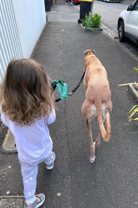 En route pour le parc à chiens. 