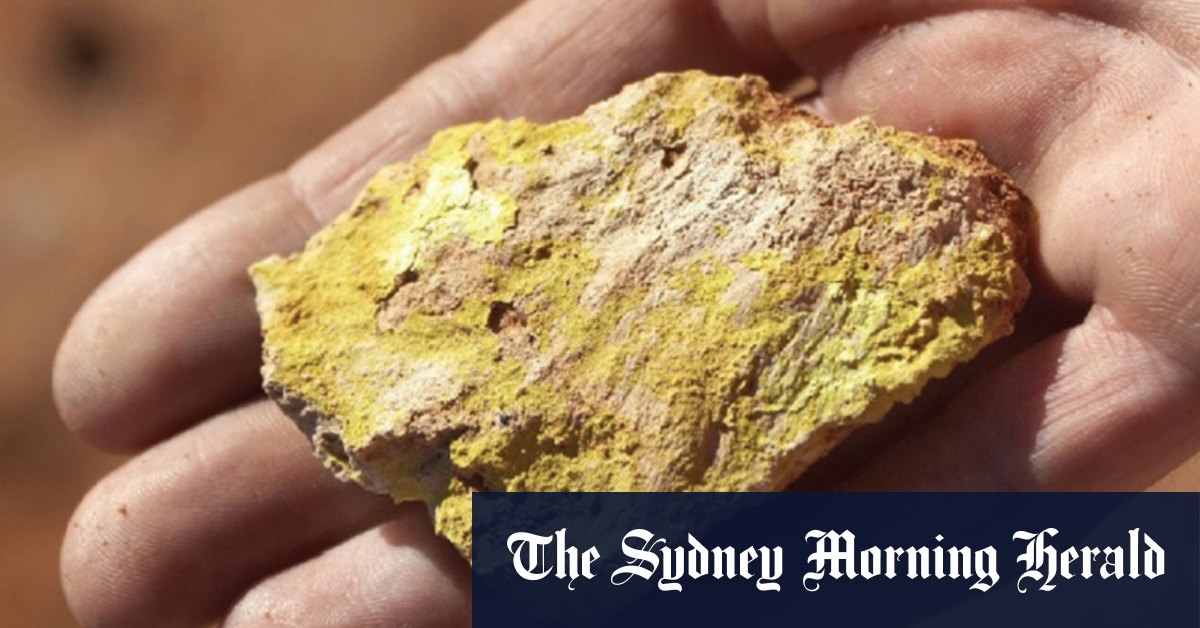 Marmota prête à surfer sur la vague de l'uranium