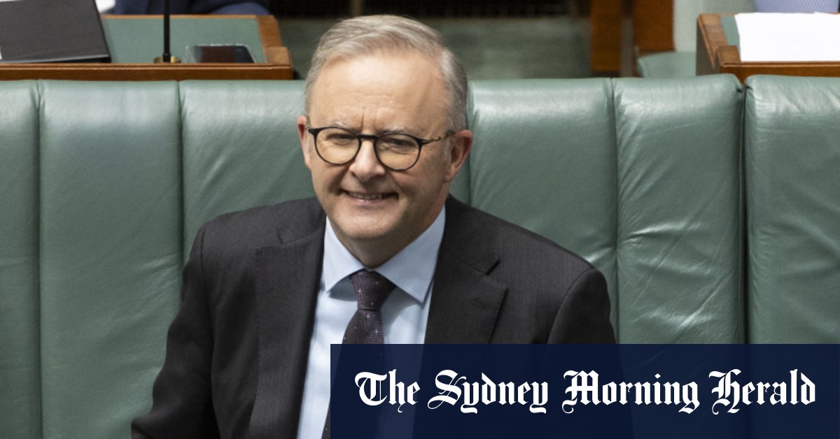 Albanese prêt à affronter les grandes entreprises sur la réforme de la concurrence
