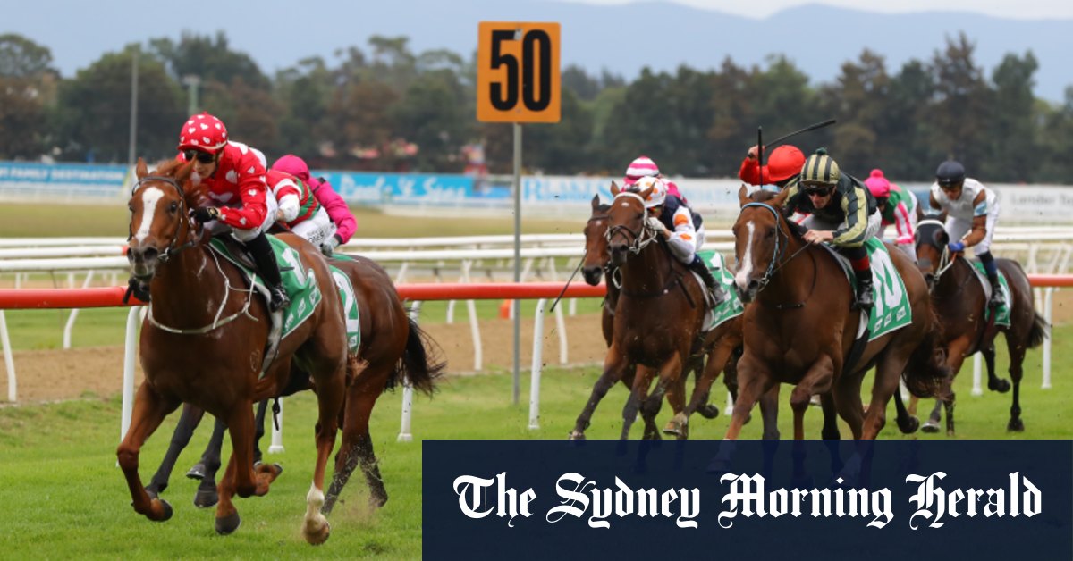 Hawkesbury courses mercredi conseils et aperçu complet