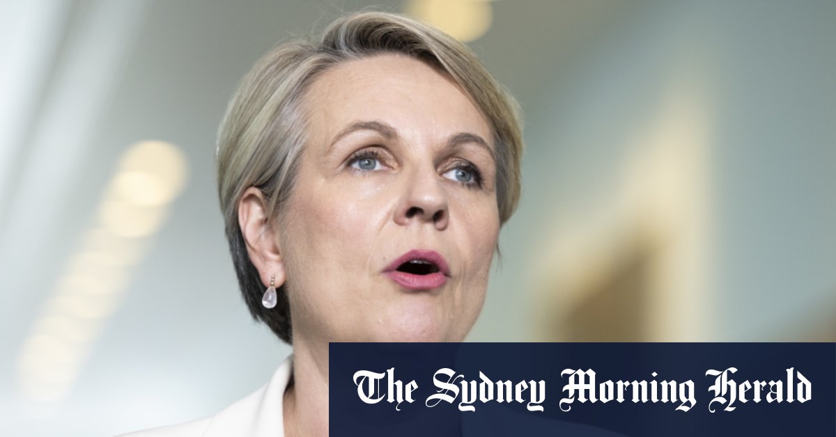 Tanya Plibersek prête à intervenir si l'industrie ne s'engage pas dans le recyclage