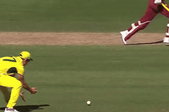 Le run-out lors des manches antillaises.