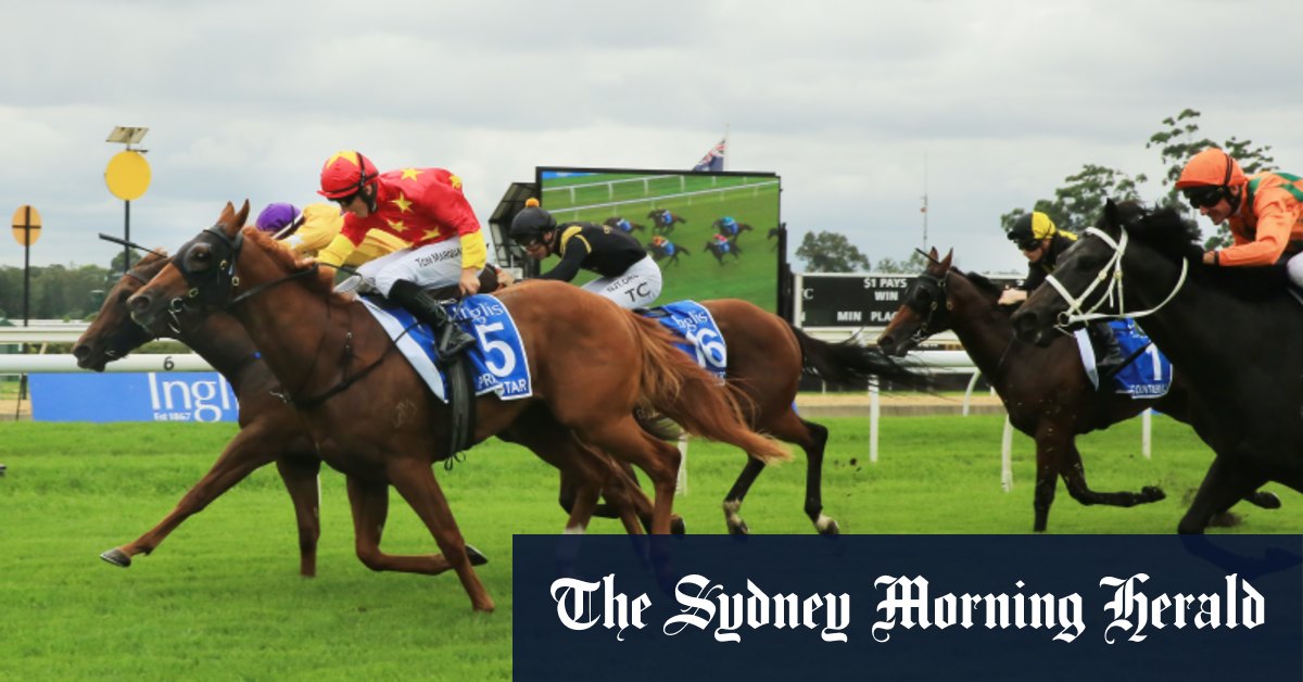 Warwick Farm courses conseils du mercredi et aperçu complet