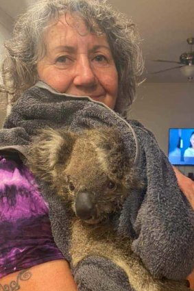Esther Hands, soignante de la faune sauvage de Beaufort, avec un jeune koala mâle sauvé des incendies qu'elle a emmené au zoo de Werribee.