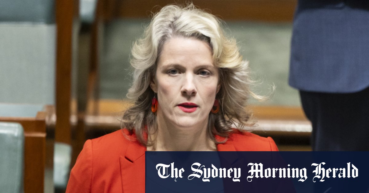 Le gouvernement s'inquiète d'une nouvelle contestation judiciaire critique concernant les détenus immigrants