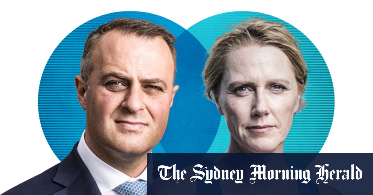 Tim Wilson verrouille le match revanche de Goldstein contre Zoe Daniel après sa victoire en présélection
