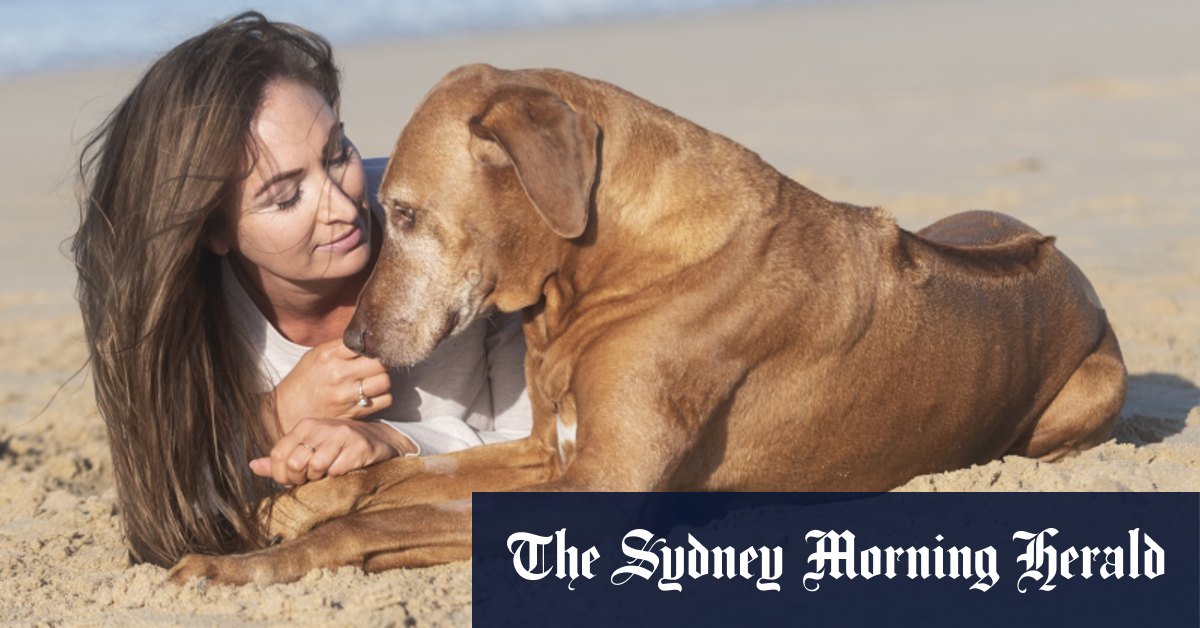 Spécial Compass TV Goodbye My Dog sur ABC