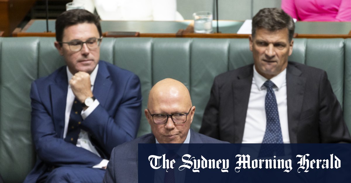 La coalition Peter Dutton développe la loi Coles et Woolies du « gros bâton » au milieu d'allégations de prix abusifs