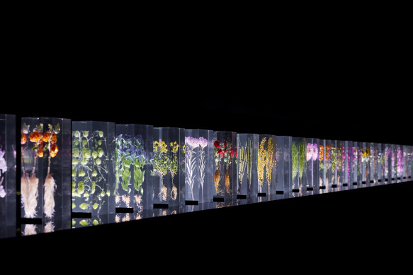 Les « Block Flowers » d'Azuma Makoto sont exposées. 
