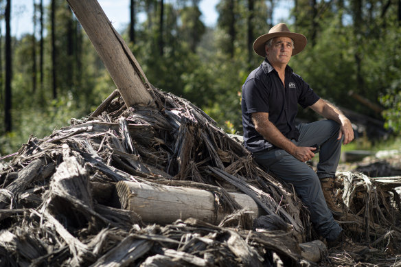 Professeur David Lindenmayer dans une forêt indigène près de Currawon.