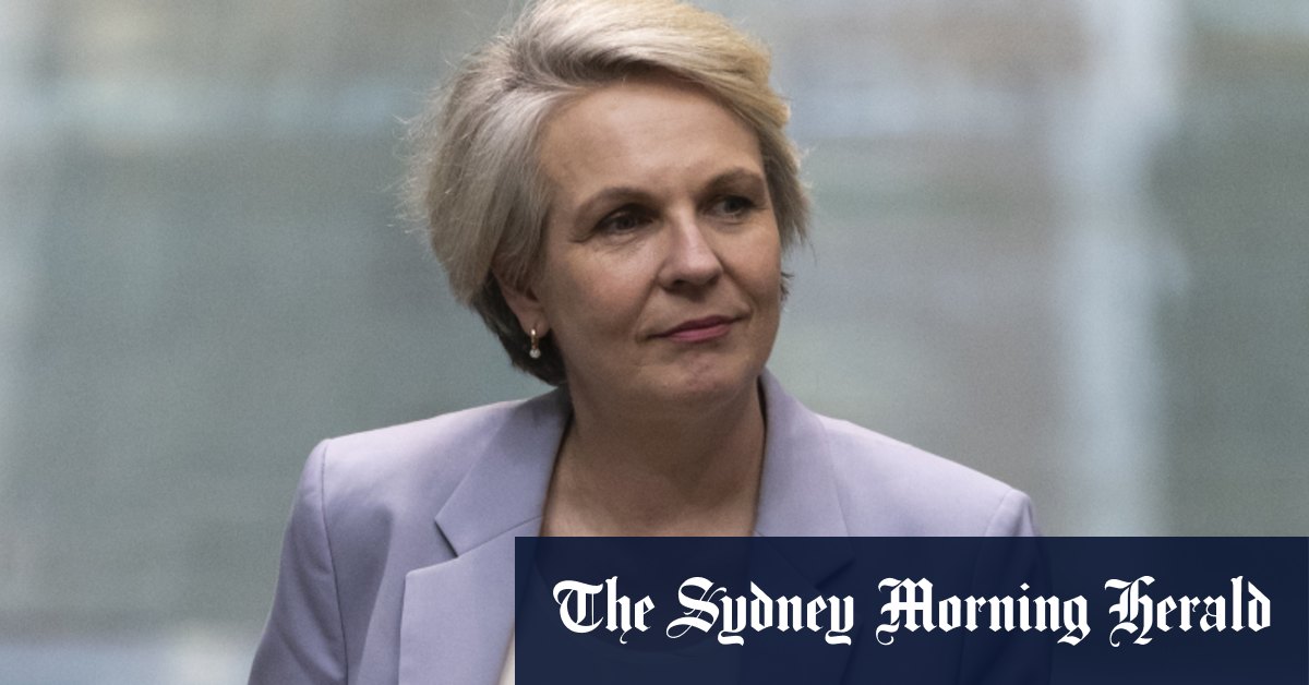 Pourquoi le mandat de ministre de l'Environnement de Tanya Plibersek est si brisé