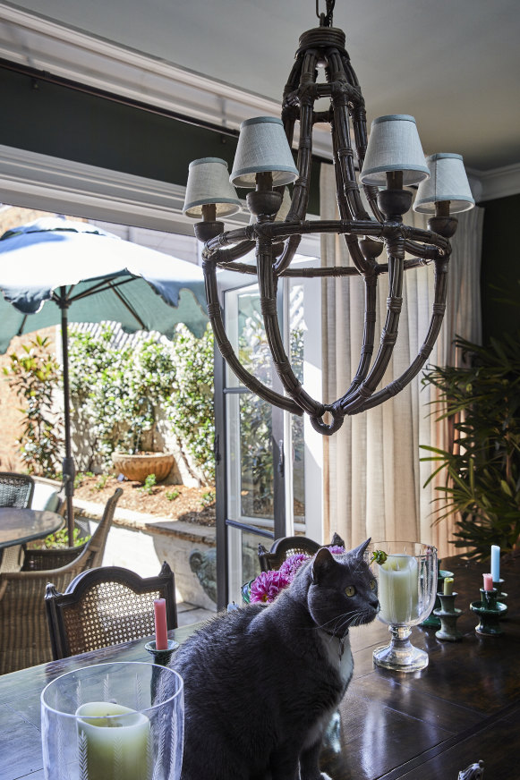 Les rideaux, en tissu « Cayman » d'Isla Design, filtrent la lumière du soleil dans la salle à manger, où Archie le chat est soigneusement assis entre de vieux bougeoirs en céramique et des abat-jour en verre taillé.
