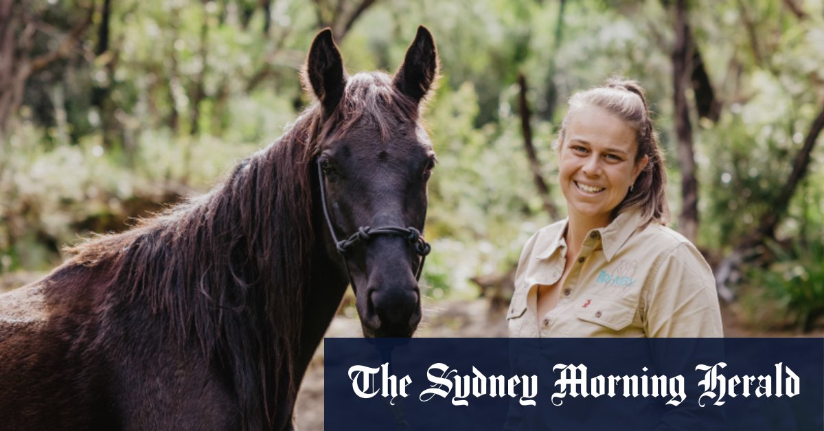 Accueillir des chevaux sauvages de Kosciuszko et d'autres parcs nationaux